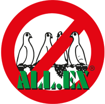 „ALL.EX GbR P. Wirth u. Y. Hodapp Taubenabwehr“-Logo, zur Startseite